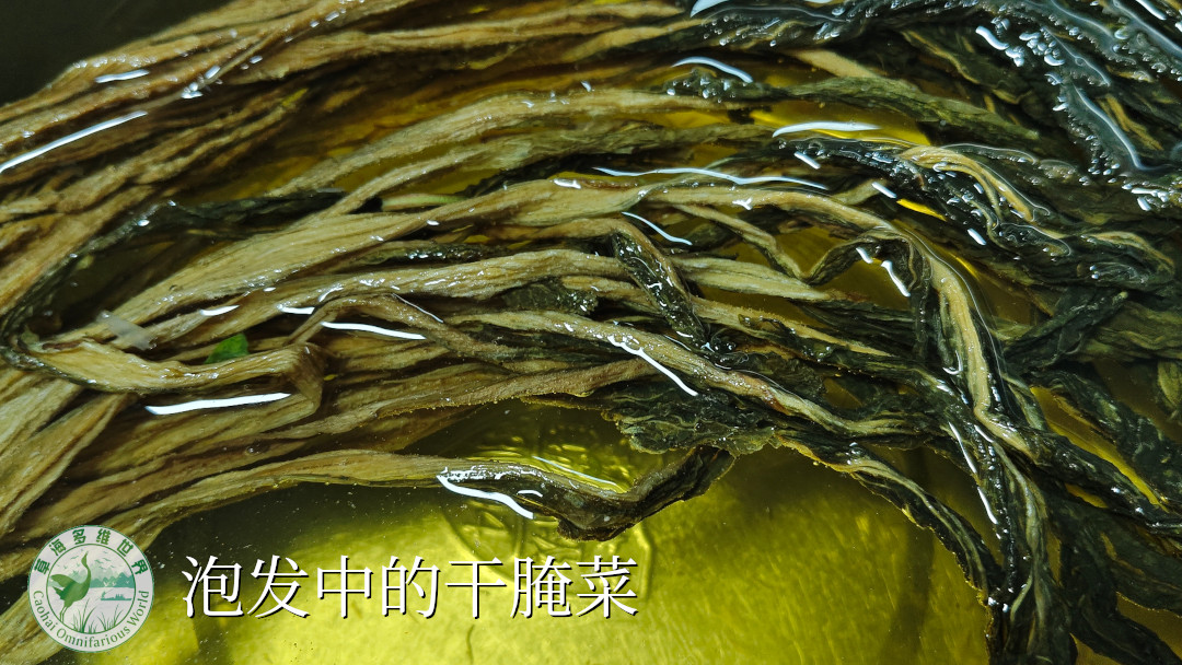 泡发中的干腌菜