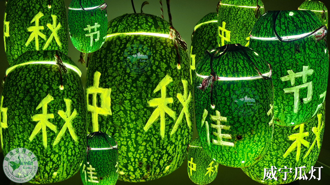 威宁瓜灯