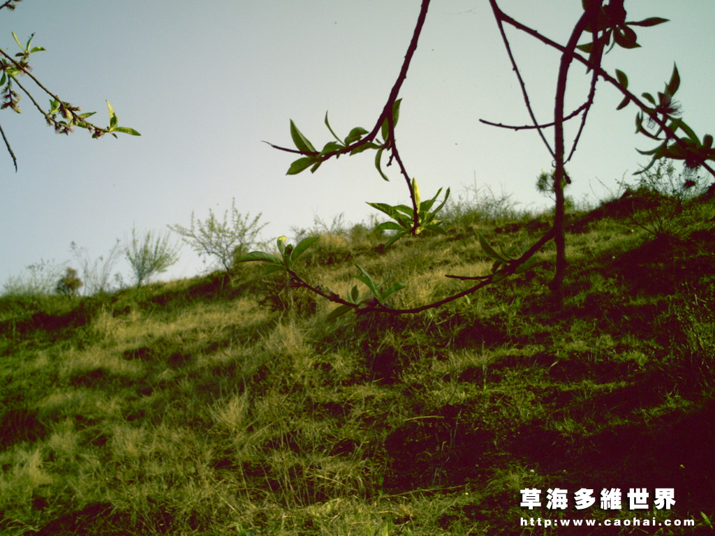 米汤井后山